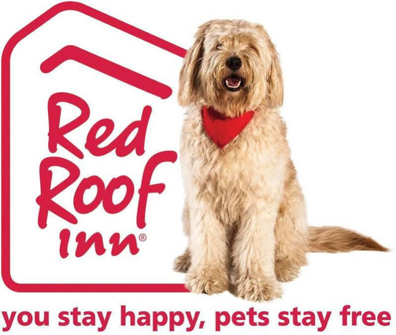 Red Roof Inn Cleveland Airport - Middleburg Heights Ngoại thất bức ảnh